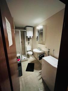 a bathroom with a toilet and a sink at City Appartement Kirchheim in Kirchheim unter Teck