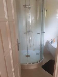 a shower with a glass door in a bathroom at Elaktra Apartman in Szolnok