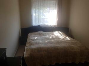 a bedroom with a bed and a window at Elaktra Apartman in Szolnok