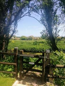 a wooden gate in a field with a fence at Poplar Cottage in Woodhall Spa