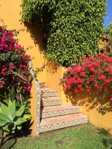 En trädgård utanför Family hotel Al- Ana Marbella
