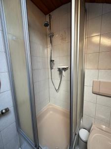 a bathroom with a shower and a toilet at Apartment Kranzberg in Mittenwald