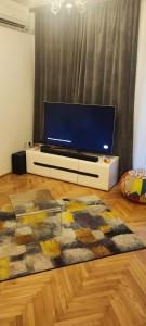 sala de estar con TV de pantalla plana y alfombra en Apartman Duce Milka, en Duće