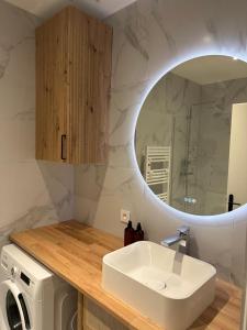 a bathroom with a sink and a mirror at Coeur vieille ville in Annecy