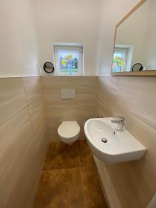 a bathroom with a sink and a toilet and a mirror at Angelas Cottage in Hünxe