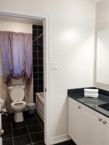 uma casa de banho com um WC, um lavatório e um espelho. em Home Pearl B&B em Cataratas do Niágara
