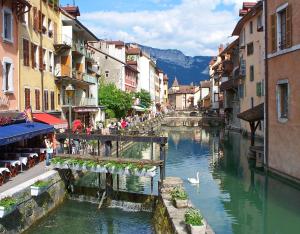 a river in a city with a bridge and a swan at Coeur vieille ville in Annecy