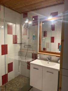 a bathroom with a shower and a sink and a mirror at Tignes le Lac - Appartement au pied des pistes in Tignes