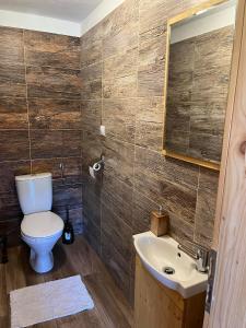 a bathroom with a toilet and a sink at Chata na Zbojskej in Pohronská Polhora