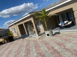 a palm tree sitting on the porch of a house at Swiss Luxury Apartments in Ndola