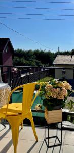einem gelben Stuhl und einer Topfpflanze auf einer Terrasse in der Unterkunft SURF HOUSE DREAMERS COAST in Klaipėda