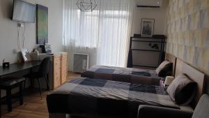 Televízia a/alebo spoločenská miestnosť v ubytovaní Green Apartman Salgótarján