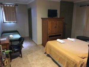 Televízia a/alebo spoločenská miestnosť v ubytovaní Hotel Molino De Saydo