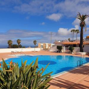 una piscina en una villa con palmeras en Sunny Tenerife Apartment - ocean views, en Tacoronte