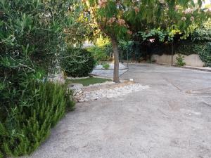 Gallery image of Daniva in Rogoznica