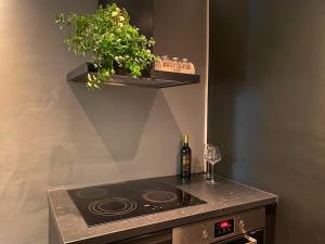 a kitchen with a stove and a plant on a shelf at Martin Barstads veg 3b in Trondheim