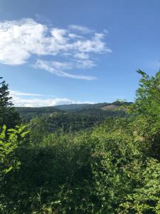 Blick auf die Landschaft von einem Feld von Bäumen in der Unterkunft Enam Room in Kojsko