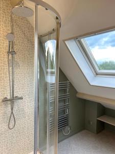 een badkamer met een douche en een dakraam bij La Paulerie 