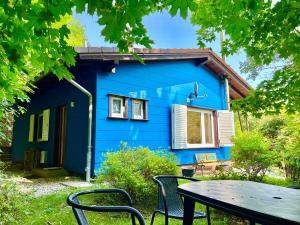 una casa azul con una mesa delante en Platell Ferienhausverwaltung Sankt Andreasberg, en Sankt Andreasberg
