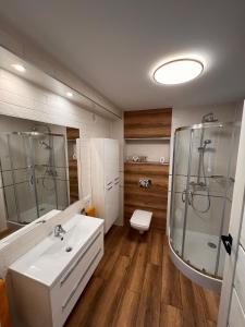 bagno con lavandino, doccia e servizi igienici di CHARZYKOWSKIE TARASY a Charzykowy