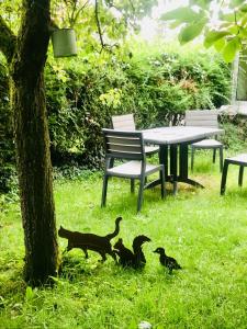 Fotografia z galérie ubytovania Maison au cœur du Parc Naturel de l'Avesnois v destinácii Choisies