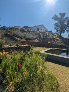 a garden with flowers and a house on a hill at Finca Bravo in Cortegana