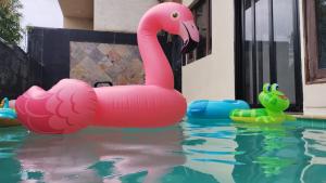 a pink inflatable flamingo in a swimming pool at Lavanya Villa with private pool Udaipur in Udaipur