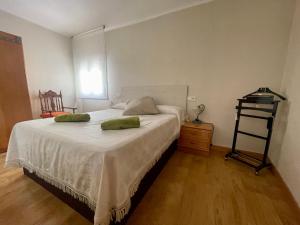 een slaapkamer met een bed met twee groene kussens erop bij ENTRELASVIÑAS in Cariñena