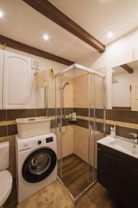 a bathroom with a washing machine and a sink at Apartmán u Bretschneidera in Banská Štiavnica