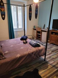 um quarto com uma cama, uma secretária e uma televisão em Les colombes de l'Occitanie em Ferrals-lès-Corbières