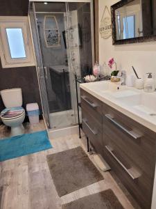 uma casa de banho com um chuveiro, um lavatório e um WC. em Les colombes de l'Occitanie em Ferrals-lès-Corbières