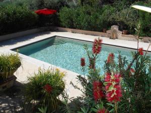 una piscina con una sombrilla roja y algunas flores en B&B Posserle en Padenghe sul Garda