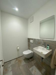 bagno con servizi igienici, lavandino e specchio di Triesenberg a Triesenberg