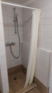 eine Dusche mit Duschvorhang im Bad in der Unterkunft Apartmán Velehrad in Velehrad