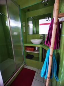 W łazience znajduje się prysznic i umywalka. w obiekcie Studio meublé et équipé avec jardin et terrasse privée w mieście Beurlay