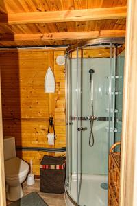 a bathroom with a shower and a toilet at domek na Mazurach in Gołdap