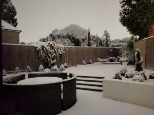 a yard covered in snow with bushes and a fence at 田园居 in Orpington