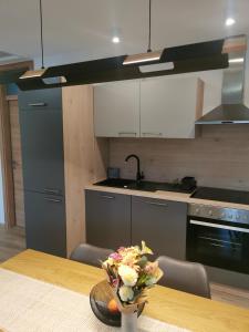 Η κουζίνα ή μικρή κουζίνα στο Apartma Bella Nadiža +17 φωτογραφίες
