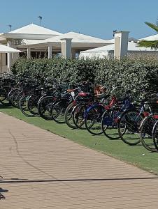 eine Reihe von Fahrrädern, die auf dem Rasen geparkt sind in der Unterkunft Atlantic Roseto sul mare in Roseto degli Abruzzi