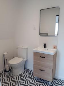 La salle de bains est pourvue de toilettes, d'un lavabo et d'un miroir. dans l'établissement "Au pied du Beffroi" - Superbe emplacement, à Arras