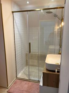 ein Bad mit einer Glasdusche und einem Waschbecken in der Unterkunft Clos Théodore - Appartement climatisé avec sauna, petite terrasse et mezzanine in Givry