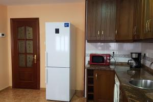 eine Küche mit einem weißen Kühlschrank und einer Mikrowelle in der Unterkunft La Casa de Elena in Gijón