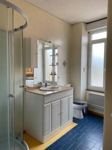 a bathroom with a sink and a shower and a toilet at Logement entier près de Mauleon.8/10 personnes in Mauléon