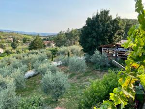 vistas a un jardín con árboles y arbustos en Quinta das flores, en Vale de Pradinhos