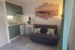 弗雷瑞斯Studio proche plage tout à pied的客厅设有沙发,厨房设有