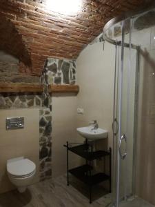 a bathroom with a toilet and a sink and a shower at Niezapominajka in Kletno