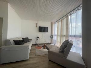 ein Wohnzimmer mit 2 Sofas und einem TV in der Unterkunft PENTHOUSE 10 MIN port croisière et aéroport in Pointe-à-Pitre