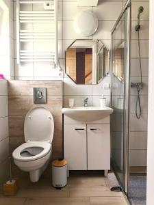 a bathroom with a toilet and a sink and a shower at Lawendowe Domki i Apartamenty w Pobierowie in Pobierowo