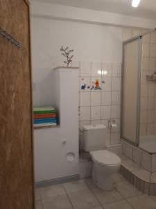 a white bathroom with a toilet and a shower at Mieszkanie nad Szeszupą 16-406 Rutka-Tartak ul, 3 go Maja 1 in Rutka Tartak
