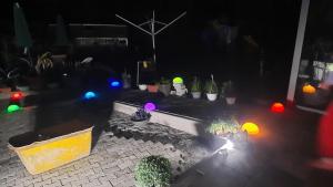 a group of potted plants on a patio at night at Apartement auf dem Lande in Rudelzhausen